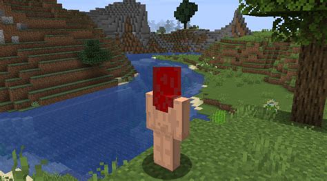 minecraft naked skins|Skin